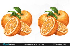 Watercolor Oranges Illustration Clipart Product Image 1