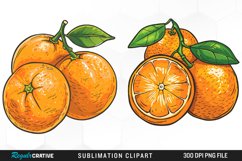 Watercolor Oranges Artwork Clipart Product Image 1