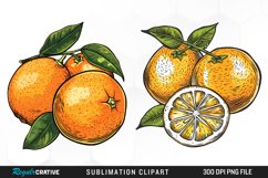 Watercolor Oranges Illustration Clipart Product Image 1