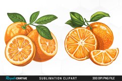 Watercolor Oranges Illustration Clipart Product Image 1