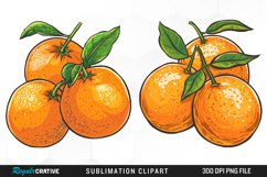 Watercolor Oranges Illustration Clipart Product Image 1