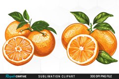 Watercolor Oranges Illustration Clipart Product Image 1