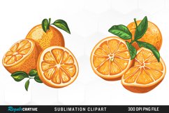 Watercolor Oranges Illustration Clipart Product Image 1