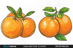 Watercolor Oranges Illustration Clipart Product Image 1