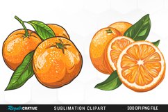 Watercolor Oranges Illustration Clipart Product Image 1