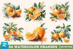 Watercolor Orange,Orange Wreaths,Watercolor clipart,Watercolor botanical,Orange clipart,Watercolor Frames,Flower arrangements,Orange Collection,Watercolor Bundle,Flower bundle,Ranunculus clipart,Watercolor png,orange watercolor,Citrus clipart,cutie clipar