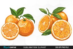 Watercolor Oranges Illustration Clipart Product Image 1