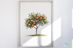 Watercolor Oranges Clipart Sublimation Product Image 4