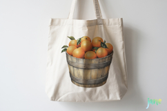 Watercolor Oranges Clipart Sublimation Product Image 5