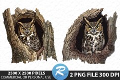 Watercolor Owl Illustration PNG Clipart Product Image 1