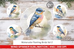 Wind Spinner Watercolor Painting Birds Product Image 1