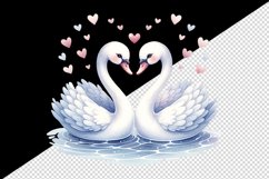 Watercolor pair of graceful cute swans heart Love Valentine Day print 20 oz tumbler skinny mug wrap clipart t-shirt sublimation printable design