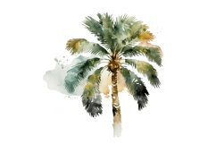Watercolor Palm Tree Clipart Bundle,Palm Tree Clipart,watercolor clipart,commercial use,instant download,clipart bundle,invitation clipart,watercolor tree png,palm tree clipart,beach clipart,relaxing clipart,tropical clipart