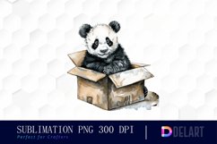 Panda In Box PNG Clipart Product Image 1