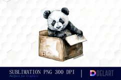 Panda In Box Illustration Clipart Product Image 1