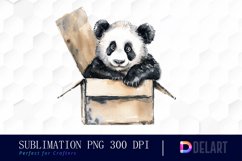 Panda In Box Watercolor Clipart Product Image 1