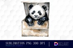 Panda In Box Graphics Clipart Product Image 1