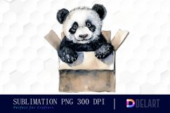 Panda In Box PNG Clipart Product Image 1