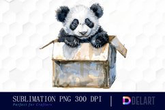 Panda In Box Graphics Clipart Product Image 1