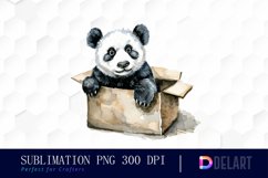 Panda In Box Illustration Clipart Product Image 1