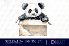 Panda In Box Watercolor Clipart Product Image 1