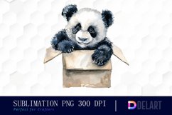 Panda In Box Watercolor Clipart Product Image 1