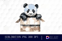 Panda In Box Illustration Clipart Product Image 1