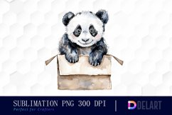 Panda In Box PNG Clipart Product Image 1