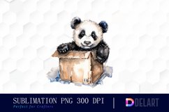 Panda In Box Watercolor Clipart Product Image 1