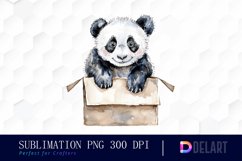 Panda In Box Illustration Clipart Product Image 1