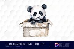 Panda In Box Watercolor Clipart Product Image 1
