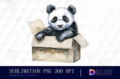 Panda In Box Graphics Clipart Product Image 1