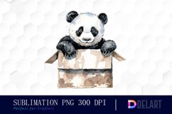 Panda In Box Illustration Clipart Product Image 1