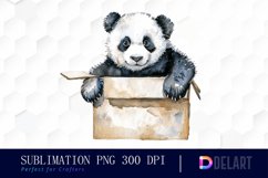 Panda In Box Watercolor Clipart Product Image 1