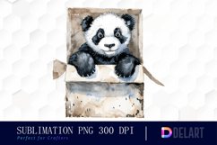 Panda In Box Illustration Clipart Product Image 1