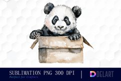 Panda In Box Graphics Clipart Product Image 1