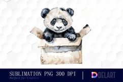 Panda In Box Illustration Clipart Product Image 1