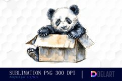 Panda In Box Watercolor Clipart Product Image 1