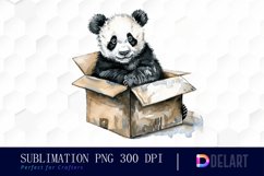 Panda In Box Watercolor Clipart Product Image 1