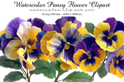 Watercolor Pansy Flower Clipart Product Image 1
