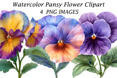Watercolor Pansy Flower Clipart Product Image 1