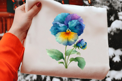 Watercolor Pansy Flower Clipart Product Image 2