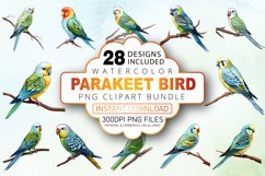 Watercolor Parakeet Bird Clipart Bundle Product Image 1