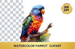 Watercolor parrot Clipart , Animal Sublimation PNG Product Image 1