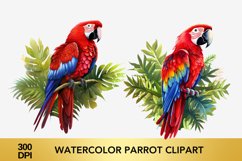 2 png Watercolor parrot Clipart, parrot Sublimation Product Image 1