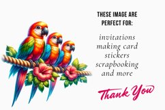 Watercolor parrot Clipart , tropical bird Sublimation Bundle Product Image 2