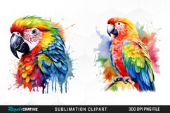 Watercolor Parrot Sublimation PNG Clipart Product Image 1