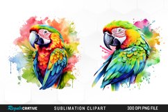 Tropical Leaves,Tropical Leaf,Jungle Clipart,Jungle Birds,Jungle Clip Art,Watercolor Clipart,Parrot Clipart,Watercolor Parrot,