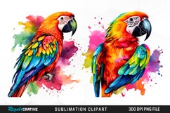 Watercolor Parrots Design Clipart Product Image 1