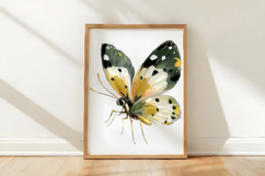 Watercolor Pastel Butterfly Clipart Product Image 3